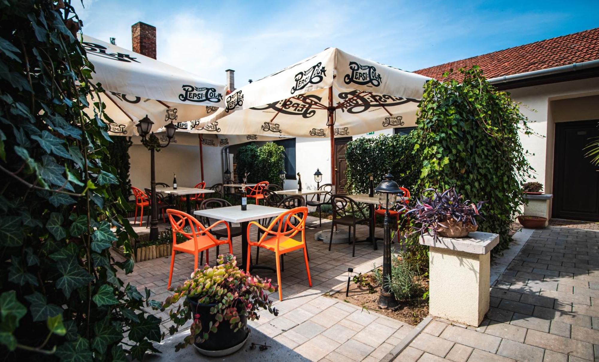 Fakapu Pince Es Panzio Bed & Breakfast Tokaj Luaran gambar